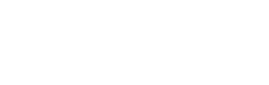 Bizcash